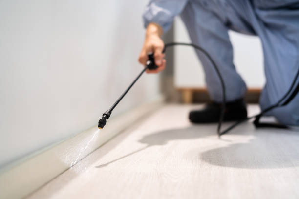 Licensed Termite Control service in Union, NJ - Nex Pest Control