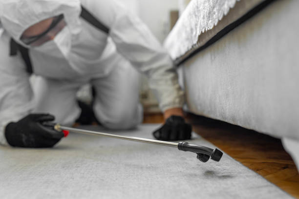 Professional Termite Control technician working in Union, NJ
