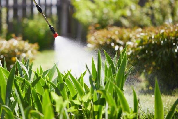 24/7 Emergency Termite Control experts in Union, NJ