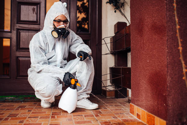 Reliable Termite Control contractor in Union, NJ by Nex Pest Control